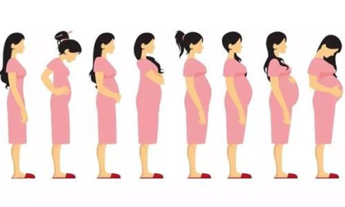 孕期六个月应该补什么营养、六个月孕妇补血吃什么好 -六个月孕妇补血吃什么网