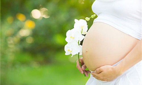 孕期六个月应该补什么营养、六个月孕妇补血吃什么好 -六个月孕妇补血吃什么网