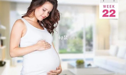 孕妇吃什么好-孕期六个月应该补什么营养、六个月孕妇补血吃什么好 -六个月孕妇补血吃什么网